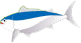 ܂