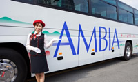 ArA oX